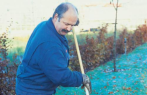 42 ansatte i Vej og Park- afdelingen i den tidligere Grindsted Kommune er ikke blevet hørt, før deres arbejde er sendt i udbud. (Arkivfoto)