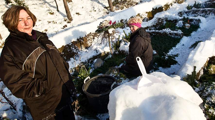Tillidsrepræsentant Ulla Jinks (til venstre) og hendes kolleger arbejder under elendige forhold på kirkegården i Lynæs. Nu vil Arbejdstilsynet tvinge menighedsrådet til at gøre noget ved det. (Foto: Joachim Rode)
