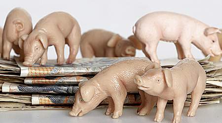 De danske landmænd bag Nordeuropas største svinefarm Poldanor fik i 2004 et overskud på over 100 millioner kroner. Fagbladets afsløring af de samme landmænds miljøovertrtædelser i Danmark indikerer, at der er andre årsager end de økonomiske, som driver dem til at producere svin i Østeuropa. (Arkivfoto: Kennet Havgaard)