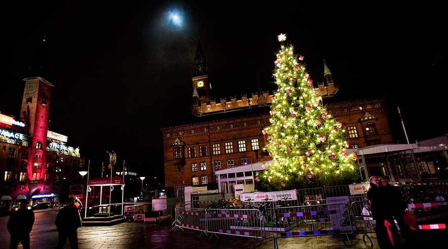 MultimediefortællingSe og hør multimediefortællingen om juletræets rejse. <a href=_http_/storymaker.3f.dk/indexb28c.html?path={72419455-8F9B-4411-97E8-CEB1352698C0}%22> Klik her</a>.