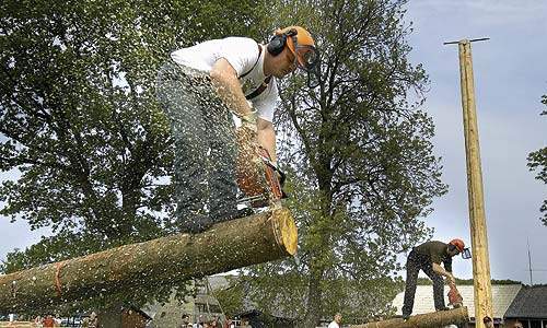 - Vi havde håbet, at vi kunne lave et forlig med arbejdsgiverne. Men det var altså tilsyneladende ikke muligt, mente forligsmanden, siger Arne Grevsen, formand for Den Grønne Gruppe i 3F. (Arkivfoto.)