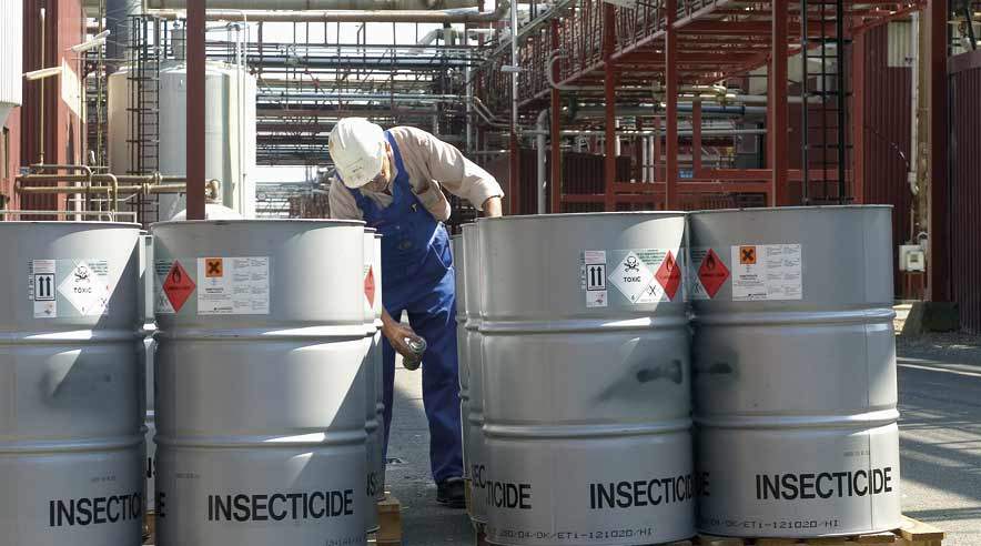 100 af i alt 300 3F'ere på Cheminova skal på efteruddannelse i årets sidste uger.