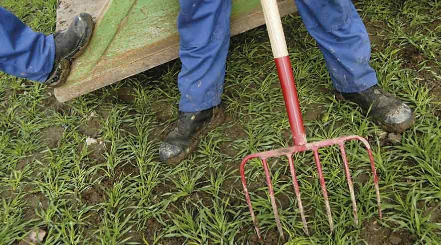Fire ud af fem ukrainske landbrugspraktikanter arbejder  ulovligt på de danske gårde. Og det er landbrugets egen skyld, mener 3F.