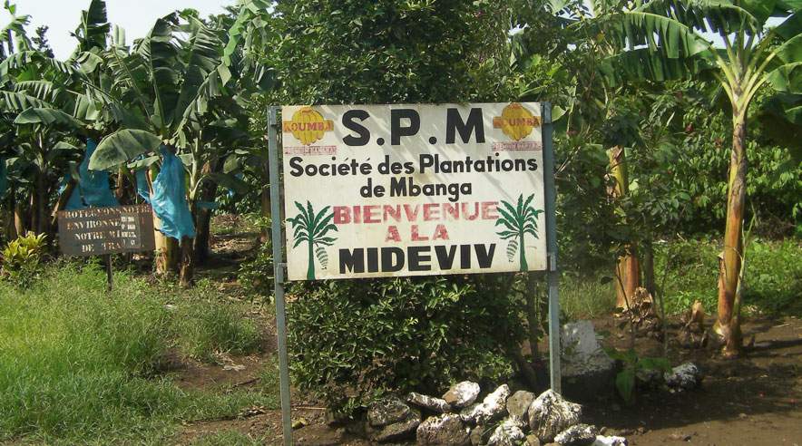 - SPM (delvist Mærsk-ejet plantage, red.) gik sammen med regeringen for at få mig dømt,siger Lapiro.