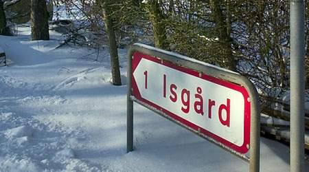 Svineproducenten Asger Møller Hansenblev onsdag meldt til Grenå Politi af 3F Djursland for brug af to illegale litauere på en af sine bedrifter, Isgård Gods på Helgenæs på Djursland (Foto: Sofus Comer)