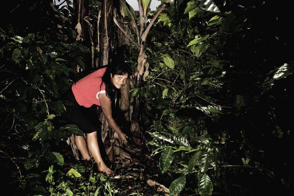 Kaffearbejdere i Nicaragua får nu mulighed for at uddanne sig inden for deres fag. (Foto: Søren Zeuth)