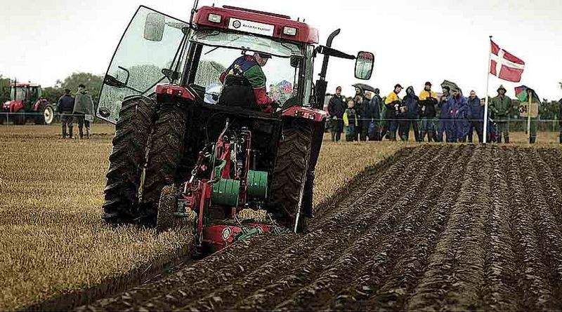 Forligsmanden besluttede sent lørdag aften at lave en såkaldt mæglingsskitse efter mere end 30 timers intense forhandlinger mellem 3F og Gartneri-, Land- og Skovbrugets Arbejdsgivere. (Arkivfoto)