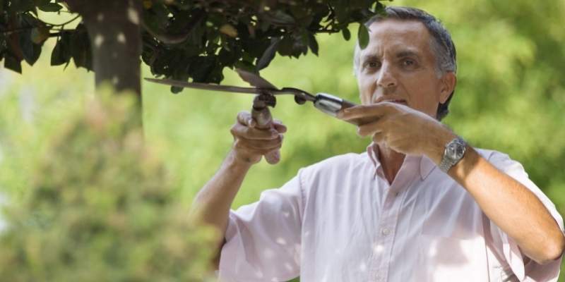 Mange på det grønne område har oplevet, at kommuner skærer ned og ansatter folk i løntilskud i stedet. (Foto: Colourbox.com)