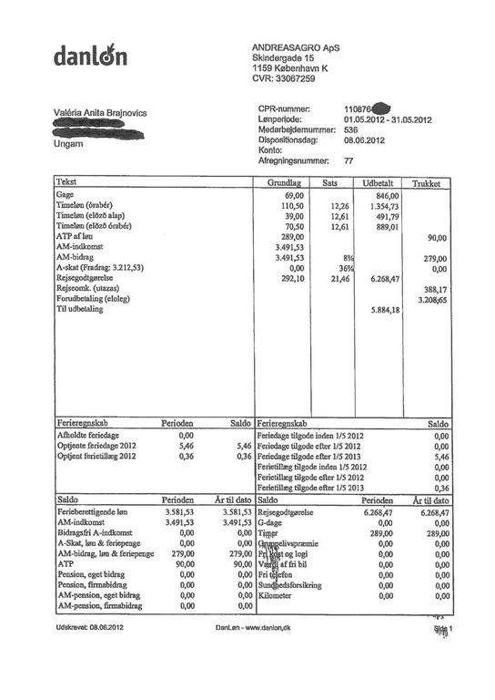 En lønseddel fra vikarbureauet AndreasAgro ApS viser, at ungareren Valéria Anita Brajnovics har fået i alt 9.850 kr. for 289 timers arbejde. Det svarer til godt 34 kroner i timen.