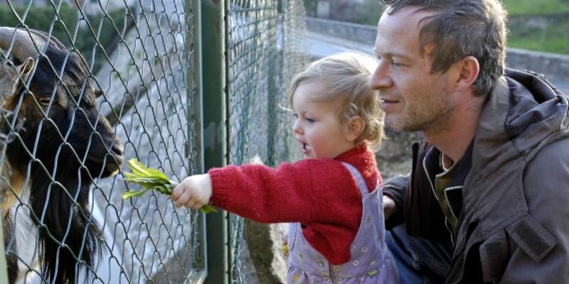 Blandt mænd i højere stillinger er der en større accept af, at man som mand har lyst til at gå på barsel. Foto: Colourbox 