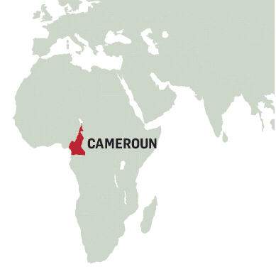 Wikipedia: Fakta om Cameroun. <A href=_http_/da.wikipedia.org/wiki/Cameroun_.html target=_new>Klik her</A>.