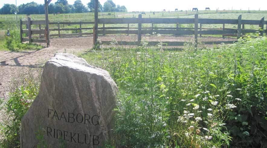 Statsstøttede Dalum Landbrugsskole mistede over en halv million kroner da Faaborg Rideklub gik konkurs. Nu prøver de igen. (Foto: privat.)