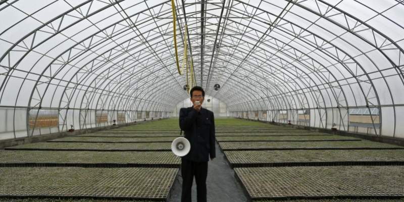 En planteskole på Lolland skal efterbetale 70.000 kroner til to polakker. Østarbejderne blev aflønnet som praktikanter, selvom de som ufaglærte havde krav på normal løn. Personen på billedet har intet med sagen at gøre. (Foto: Vincent Yu/POLFOTO)