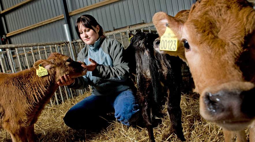 19-årige Henriette Sørensen lå syg med stress efter mange udmarvende arbejdsdage til 36 kroner i timen på Klintholm Ridecenter i Jelling. (Foto: Peter Palle Skov)