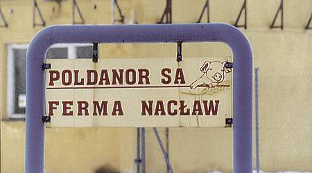 Poldanor har blandt andet fået miuljøgodkendt en af de tre svinefarme, som de regionale polske miljømyndigheder for et par måneder siden bebudede, atr de ville lukke. De to øvrige svinefarme er endnu ikke miljøgodkendt. (Foto: Tom Heinemann)