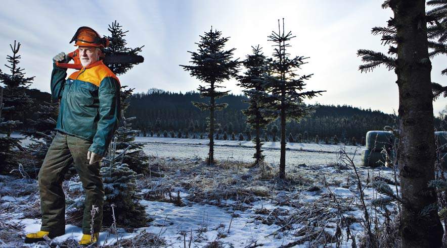 65-årige Roland Larsson ville gerne fortsætte sit arbejde i skoven, men blev tvunget på pension efter uretmæssig fyring hos lensgreve på grund af alder. (Foto: Niels Åge Skovbo)