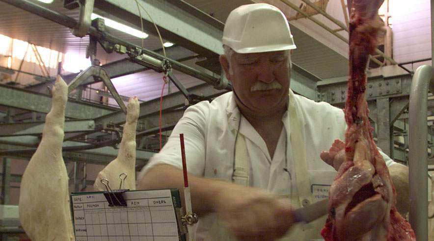 Ansatte på slagterierne får skældud og bliver ofre for skidtsnak, hvis de klokker i det eller er for langsomme. (Foto: Colourbox)