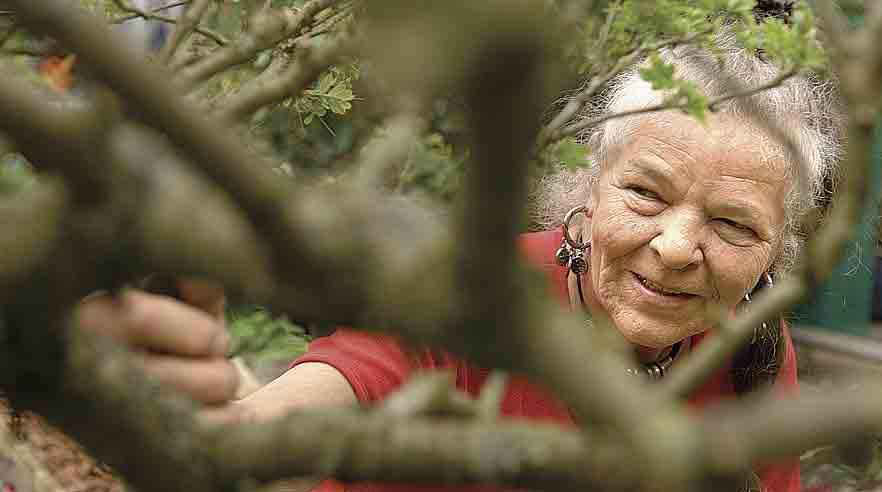 I 2007 er det kun knap seks ud af ti af de 60-64-årige a-kassemedlemmer, der er gået på efterløn. For bare få år siden var det syv ud af ti, der var på efterløn. (Arkivfoto.)