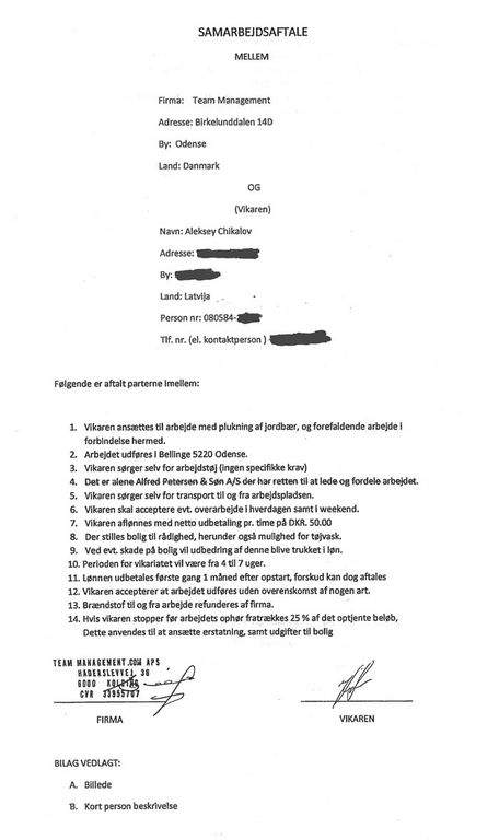 Her er de 14 punkter i en samarbejdsaftale mellem Team Management og lettiske vikarer vedrørende arbejde hos tomatgartneriet Alfred Pedersen & Søn.