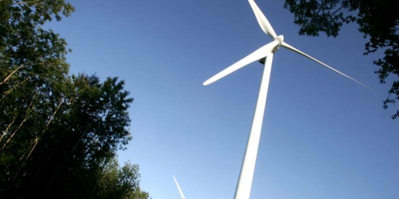 Masser af kommuner er godt i gang med grønne initiativer, der oven i hatten skaber hundredvis af jobs. 3F spreder nu det glade budskab med inspirationskatalog til samtlige kommuner. Foto: Colourbox