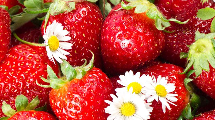 Jordbær er smagen af sommer. Lige nu er det sæson for de søde bær - så nyd dem, mens du kan. (Foto: Colourbox)