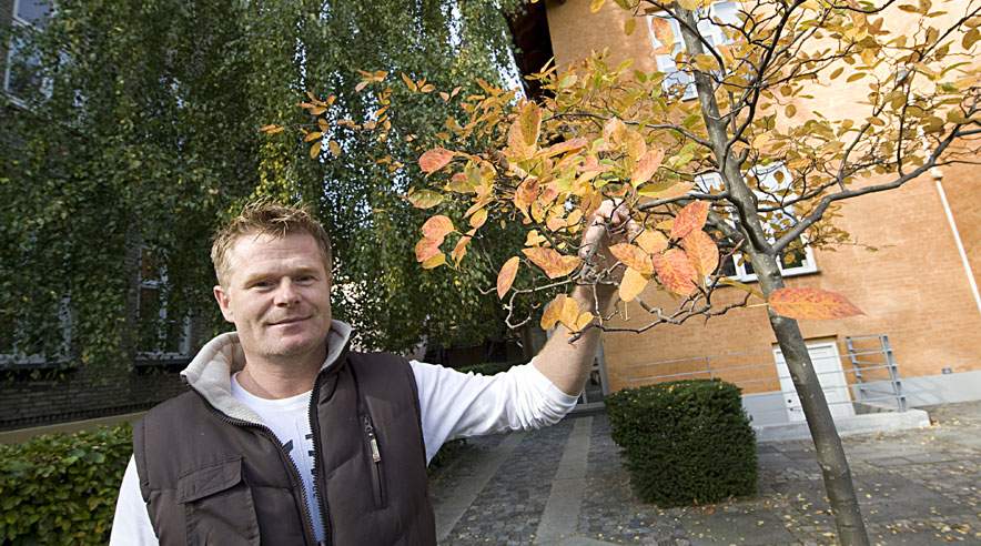 Fagkonsulent hos Danske Anlægsgartnere, Kim Tang, giver gode råd til efterårshaven. Det er blandt andet nu, du skal lægge løg til forårets krokus, tulipaner og påskeliljer. (Foto: Harry Nielsen)
