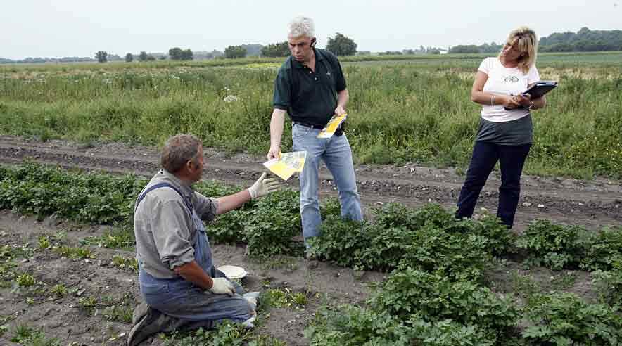 Udlændingestyrelsen vurderer, at der for hele 2006 vil blive tale om cirka 10.000 arbejdstilladelser. 
Det er især virksomheder inden for gartneri og landbrug, der gør brug af arbejdskraft fra Østeuropa.