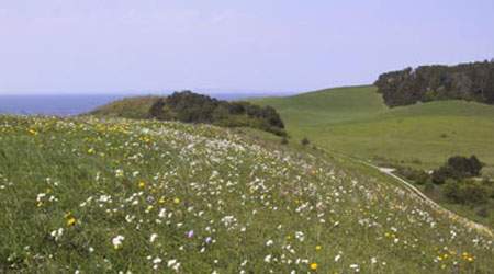 Et godt samarbejde mellem 3F Samsø og landmændene på Samsø om i langt højere grad at bruge lokal arbejdskraft i grønsagsproduktionen har fået ledigheden til at styrtdykke fra 43,5 procent til under to.