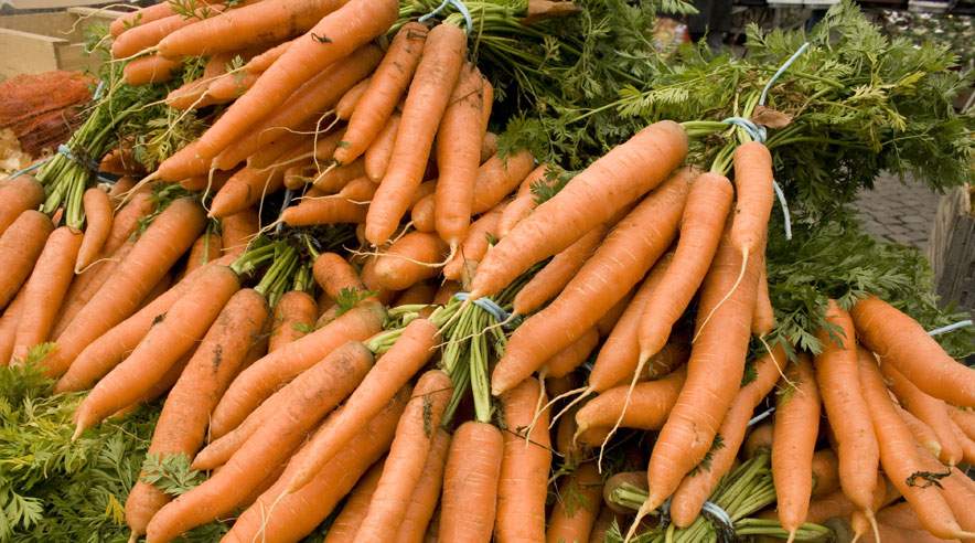 Virksomheden Limfjords og Danske Rodfrugter undlod at betale pension og overarbejdstid til ukrainsk ansat, der nu har fået sit tilgodehavende fra arbejdsgiveren. (Foto: Colourbox)