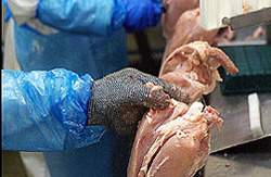 Fjerkræ-slagterier som Rose Poultry i Brovst kan muligvis aftage 50-100 ledige ufaglærte om året.