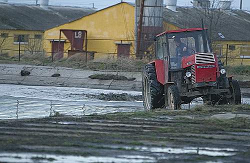 En traktor blander med et stort "piskeris" fast og flydende afføring, så brunt skum hvirvler i luften fra en af Poldanors gyllelaguner. Billedet er taget den 18. november 2004 - ca. en måned før den blev tildækket. (Michael Daugaard.)