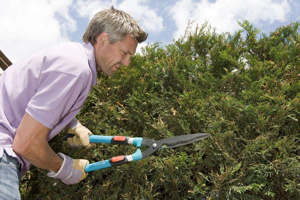 Så starter sæsonen for gør-det-selv-ulykker. Brug eventuelt handsker og sikkerhedsbriller, og læs brugsmanualen grundigt, inden du giver dig i kast med værktøjet. (Foto: Colourbox)
