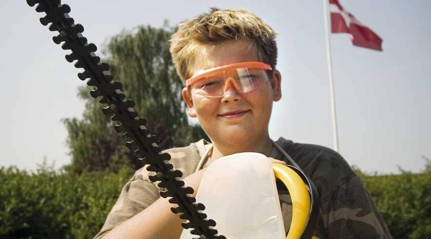 13-årige  Andreas Skjøde fik kun halv løn, da han denne sommer arbejdede på Gartneriet Søsted på Fyn. (Foto: Niels Nyholm.)
