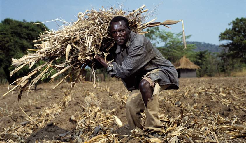 Landarbejderen Theofilo Phiri fra Zambia er en af dem, du kan opleve på Arbejdermuseet de kommende måneder. (Foto: Søren Zeuth)