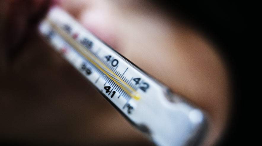 På små virksomheder med under 20 ansatte vender folk 15 procent hurtigere tilbage til jobbet efter langtidsfravær end på de store virksomheder med 20-100 eller over 100 ansatte.  (Foto: Joachim Rode.)