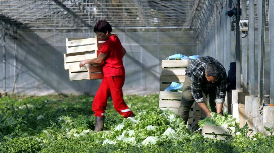Pesticider kræver, at man tager de nødvendige forholdsregler. I fremtiden kan et måleapparat advare mod gift i luften. ((Arkivfoto: Colourbox))