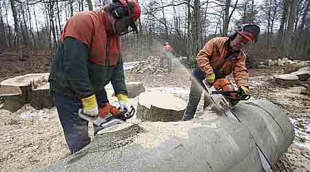 Udmeldingen fra Hedeselskabet får ros fra 3F, der opfordrer øvrige arbejdsgivere på det grønne område til at komme med lignende udmeldinger. (Foto: Kennet Havgaard)