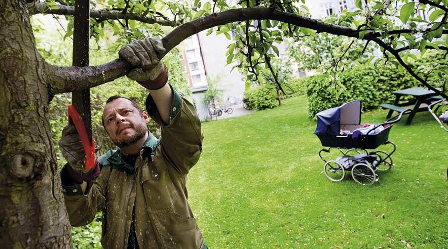 Jaan Kuusisaari har ikke bare grønne fingre, men også et grønt hjerte, der banker for bæredygtig og miljørigtig pasning af de københavnske gårdmiljøer. (Foto: Joachim Rode)