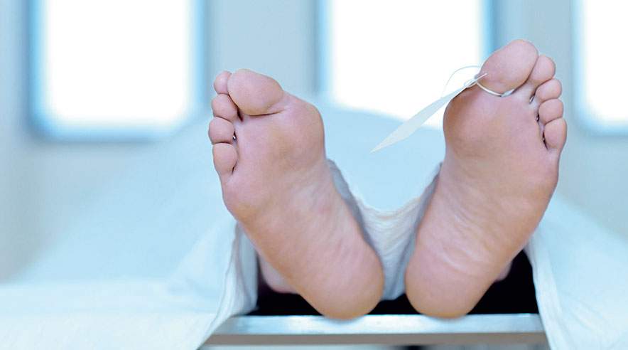 Dødsulykker på transportområdet vejer tungt i statistikken. 14 af årets 35 dræbte var chauffører. (Arkivfoto)