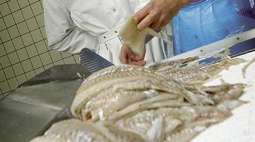 50 3F'ere er blevet afskediget som følge af lokal konkurslavine i Esbjerg og Haderslev. (Arkivfoto)