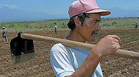 Mange landarbejdere i Argentina har fundet sammen i samme fagforbund. (Arkivfoto)
