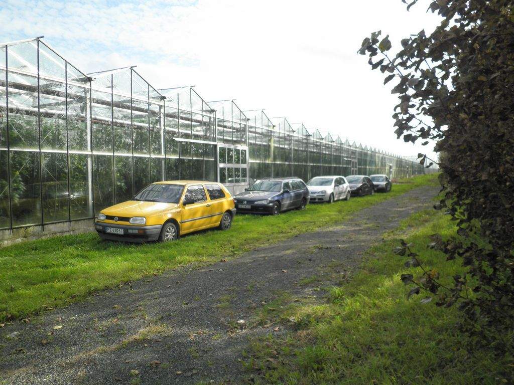 Biler på udenlandske nummerplader holder langs drivhusene, efter Varpelev Tomater blev taget under konkurs.