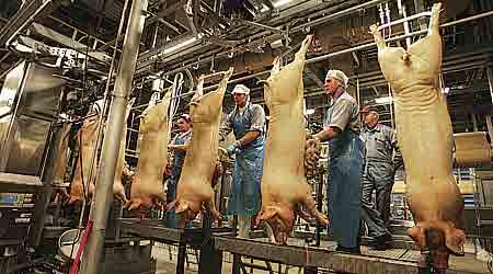 Danmark skal lave aftaler, der sikrer mod underbetaling fa udlændinge mener Søren Søndergaard (N). (Foto: Scanpix)