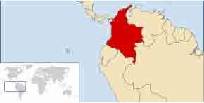 Colombia er verdens farligste land for fagligt aktive. Det mærker landarbejdere på plantagen Palo Alto i øjeblikket.