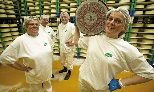 Medarbejderne på landets mejerier kan efter alt at dømme glæde sig til en højere løn fremover, hvis de vælger at videreuddanne sig. (Arkivfoto)
