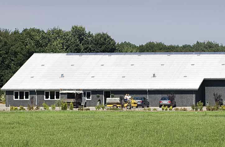 Landmand Bo Larsen ansatte i efteråret fem ukrainske landbrugselever på sin minkfarm i Haderup nord for Herning. Dermed kunne minkavleren se frem til at spare 1,3 millioner kroner i løn på øst-praktikanterne. (Foto: Jens Bach.)