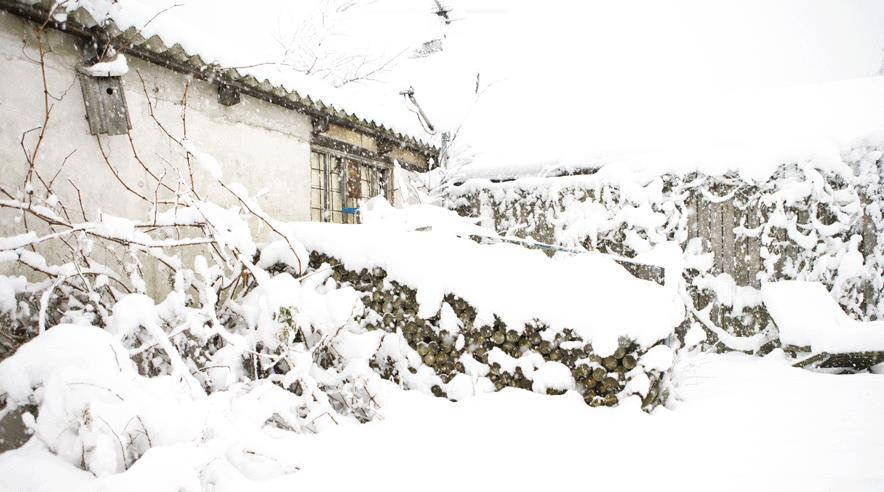 Sne og kulde er meget hårdt ved huset. Pas især på vandrør og fygesne. (Foto: Colourbox)