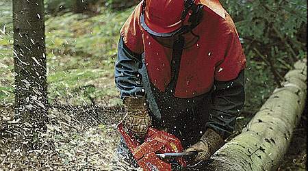 Regeringens generelle holdning til de offentligt ansatte har ikke ændret sig, mener Hans Okholm, fællestillidsrepræsentant for cirka 550 skovarbejdere.  (Foto: Arkiv)