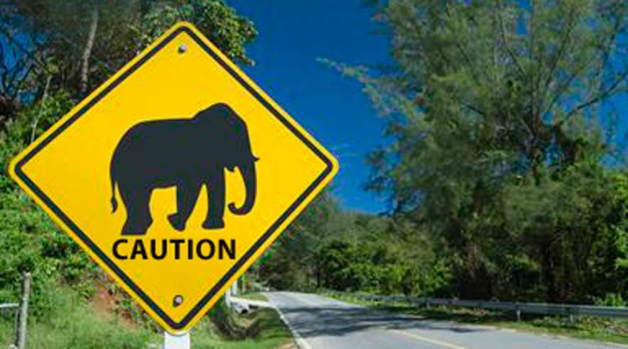 Transportministeren vil udvide forbud mod vejelefanter på danske veje. Men kun arbejdsgiverne var inviteret med, da ministeren holdt møde om forbud mod lastbiler, der overhaler ved elefant-kørsel. (FOTO: Colourbox)