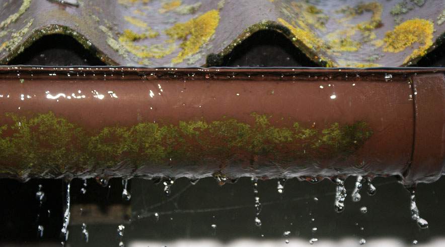 Det er dit ansvar at forebygge vejrskader. Det betyder, at du skal sørge for at holde tagrenden fri for blade og skidt, så de for eksempel kan håndtere kraftig regn. (Foto: Colourbox)